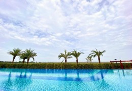 Đầu tư bất động sản Hồ Tràm Có đáng không  ?